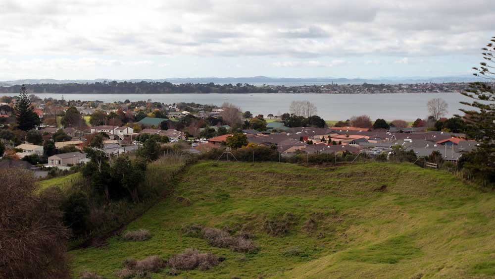 Point England Explore Point England Suburb, Auckland NZ