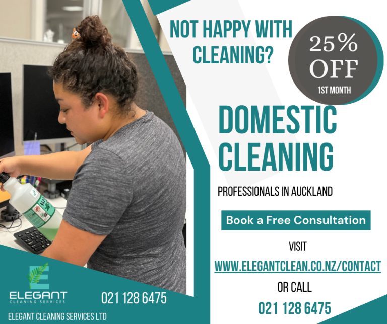 domestic cleaning 768x644